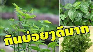 รีบหามากินด่วน!? \