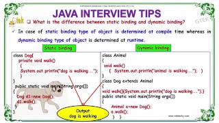 Static and dynamic binding in java core java interview questions wikitechy com