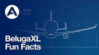 BelugaXL - Fun Facts