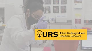 ASU's OURS program: Hands-on research experience for online students