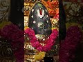 शालिग्राम की पूजा करने से होते है ये लाभ these are the benefits of worshiping shaligram