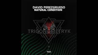 David Perezgrueso - El sendero loco (Original Mix)