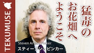 ピンカーの「暴力の人類史」