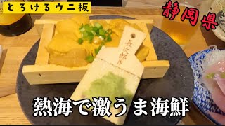 【旅する酒好き女のグルメ】熱海で激うま海鮮丼を味わう❗️