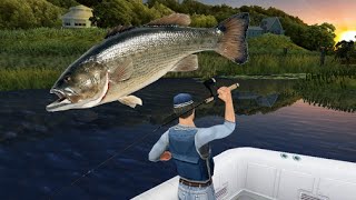 Fishing Kings Free+ Amazing Net Fishing Gameplay #1