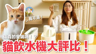 【好味小姐】市售貓飲水機大評比！貓咪真的會多喝水嗎？
