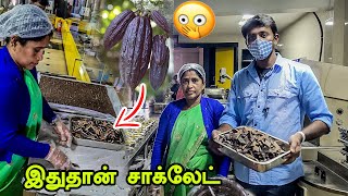 இதில் இருந்து தான் Chocolate  செய்கிறார்கள் Ooty Chocolate Factory Chocolate Making Process Mr Ajin