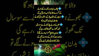 best quotes in urdu💯✔ #urduquotes #shorts #saddamhusain #aqwalezareen#hmvoice1m #ytshorts