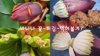 열대과일 바나나 꽃요리 /Banana Flower Cooking/흰눈이 펑펑~눈내리는영상~볼겨?