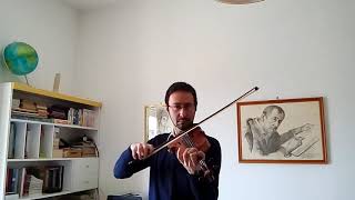 River flows in you - Yiruma (violin cover by Vincenzo Monaco)