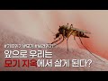 [그린피스 X 헤이뉴스] 앞으로 우리는 '모기 지옥'에서 살게 된다?