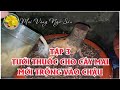 Tập 3: Tưới thuốc cho cây mai mới trồng vào chậu