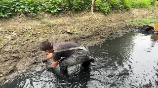 村北小河沟断流了，今天抽干桥头最深的一段，抓到了黑鱼窝，爽爆