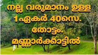 നല്ല വരുമാനം ഉള്ള 1ഏകർ 40സെ. തോട്ടം.