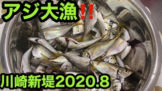 川崎新堤　東京湾堤防でアジ100匹以上　🐟大漁‼サビキでアジ‼️アジは美味しく食べました😊今回の料理は、みんな大好きアジの南蛮漬け編 2020.8.8