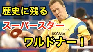 【卓球】神の腕を持つ男！？天才ワルドナー選手の素人でもわかる達人プレイ！【衝撃】A man with arms of God! What? Waldner【table tennis】