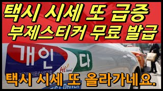 개인택시 시세가 또 급증하고 있습니다. 부제표시 무료로 받아가세요