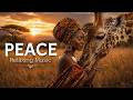 Zulu Calm & Healing Voices (African Serenity) | Stress Relief, Deep Relaxation, Sleep & Meditation