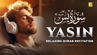 Peaceful Quran Recitation of Surah Yasin (Yaseen) سورة يس | SOFT VOICE | Zikrullah TV