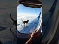 DOG FLYING ON PLANE!!! #flyingdog