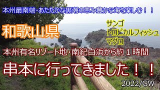 串本で黒潮の恵み豊かな海を楽しむ旅！！和歌山県南紀白浜から約１時間！！サンゴ、熱帯魚、くしもとマグロ！！本州最南端のあたたかな海を体感してきました！！2022GW