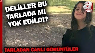 Tarlada Çıkarılan Yangının Sırrı Ne, Deliller Burada Mı Yok Edildi? O Tarladan Canlı Görüntüler...