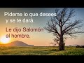 el arte de rendirse un poema de rumi