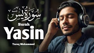 Surah yasin 💞 By Tareq mohammed🕌 Relaxing Majestic Heart Stealing Beautiful Voice 💓