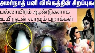 அமர்நாத் பனிலிங்கக் குகையினுள் பல்லாயிரம் வருடங்களாக உயிருடன் இருக்கும் புறாக்களின் மர்மம் என்ன