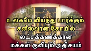 உலகமே வியந்து பார்க்கும் சனீஸ்வரன் கோயில் லட்சக்கணக்கான மக்கள் குவியும் அதிசயம்