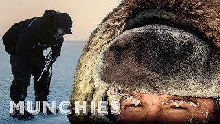Canada's Seal Hunt Controversy: The Politics of Food