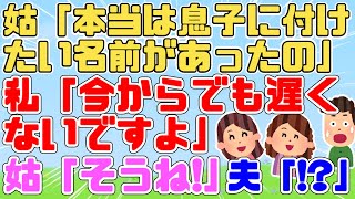 【2ch面白スレ】私「夫君が娘にｷﾗｷﾗﾈｰﾑを付けようとするんです」姑「んまあ分かるわああ！私も息子に○○って付けたかったの！」私「…今からでも遅くないですよ」夫「！？」【スカッと DQNﾈｰﾑ】