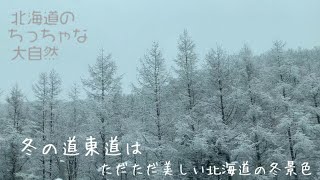 冬の北海道。道東道を走る。