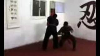 Ninjutsu - Do (Enigma Shinobi Jutsu - Arabian Ninja) Abdullah Minor