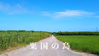 沖縄県粟国の島🛩粟国島 ① 🌸島内を車でドライブです（粟国空港・粟国漁港など）🌺⛵️🐳 （ダイビング以外) (観光地は出て来ません）🐬2019.6 🌴 Okinawa Aguni island 🛩