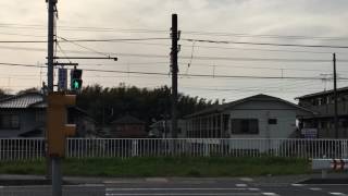 千葉県木更津市桜井4丁目「君津中央病院入口」の音響信号機 カッコー