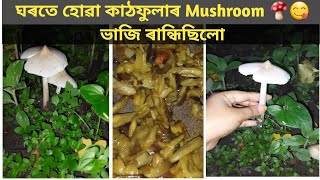 অতি সহজতে কাঠফুলাৰ ভাজি বনাওঁক || Mushroom recipe || Kathfula || kanchan Bora