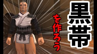 【FF11】憧れの廃人装備【黒帯】を作ろう【Black Belt】