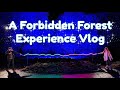 Harry Potter: A Forbidden Forest Experience In Cheshire | Wizarding World Vlog