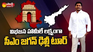 విభజన హామీలే లక్ష్యంగా సీఎం జగన్ ఢిల్లీ టూర్ | CM YS Jagan Delhi Tour | Sakshi TV