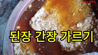 된장 간장 가르기 정월된장 햇된장찌개 How to cut miso soy sauceCách cắt nước tương miso如何切味mis酱油