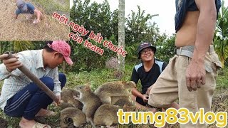 một ngày bắt chuột cùng team