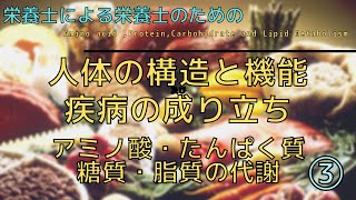 #39の①【人体の構造と機能及び疾病の成り立ち_アミノ酸・たんぱく質・糖質・脂質の代謝③】Amino acid ,Protein,Carbohydrate and Lipid Metabolism