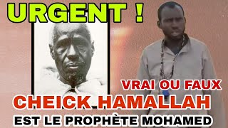 Cheick Hamallah est Prophète Muhammad 💪 au Commentaire Vrai ou Faux ?😭😭😭😭🤔🤔🤔🤔🤔🤔🤔