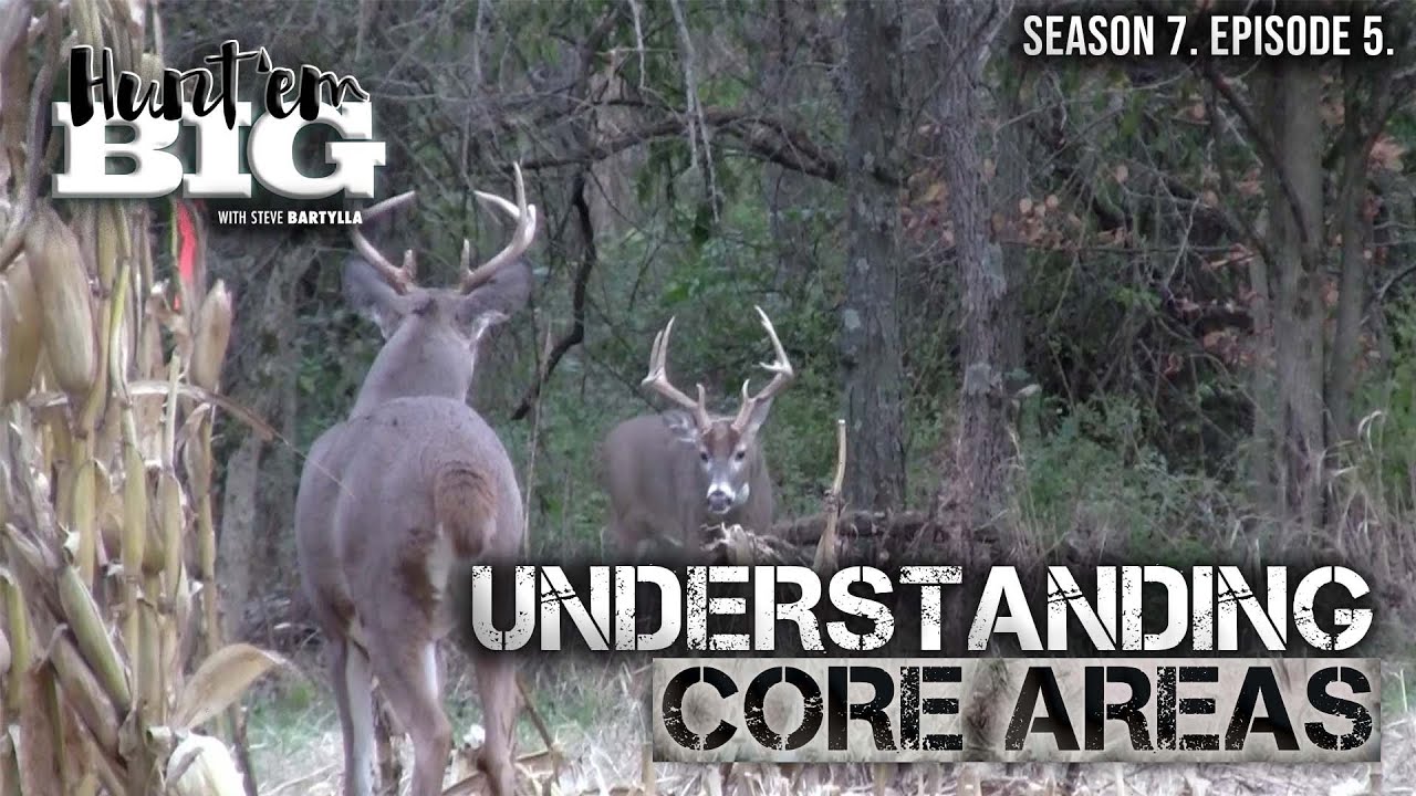 Buck Bedding Areas: Why They Shift - YouTube