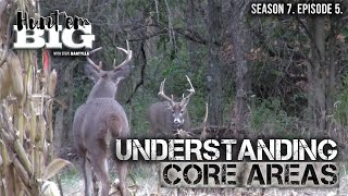 Buck Bedding Areas: Why They Shift