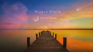 깊은 수면을 위한 편안한 음악☁잠잘때 듣는 음악,불면증 치료 음악,수면유도음악 - "Sunset"