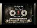 Dub fi Dub - Luv Injection VS Unity Sound (Audio)