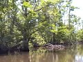 escambia river a trip from solutia old monsanto docks to becks lake