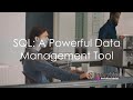 SQL  tutorial for beginners | SQLite  Database for Android |SQL Interview Questions |Harvard School